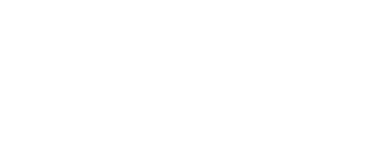 Logo: Ravekick.
